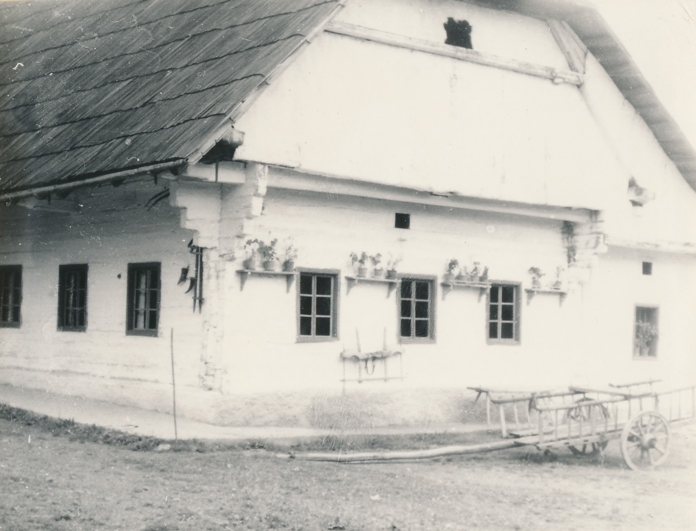 eika image